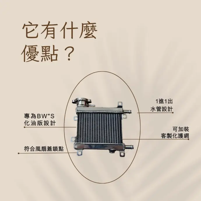 BW'S 客製化 化油車改裝水箱