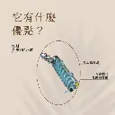 2.webp